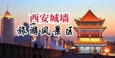 白丝屄中国陕西-西安城墙旅游风景区